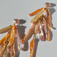 Freshwater Pearl Cascade Earrings | SOLARA Sunset Rain
