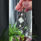 Beautiful Shin Mother of Pearls Black and White,Lucky Four leaf clover Drop Earring