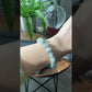 10mm+ Hight Rare grade Natural Gray Blue Rutilated Quartz smooth round Bead bracelet, gift for her , gift for him
