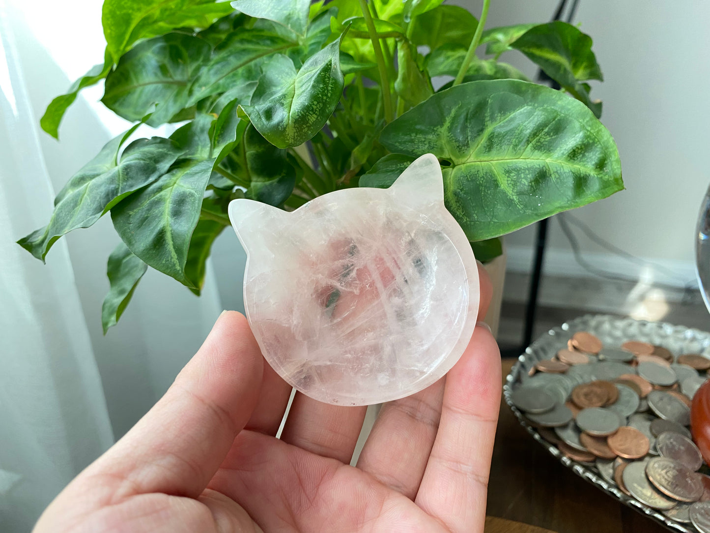 Natural Rose Quartz cuty kitty cat head mini plate